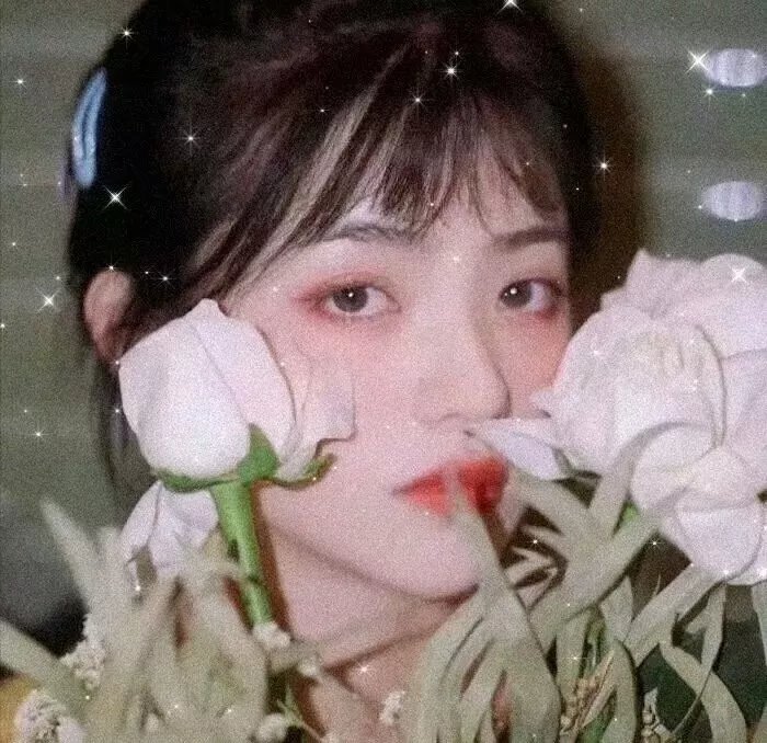 快乐妓女去好莱坞
